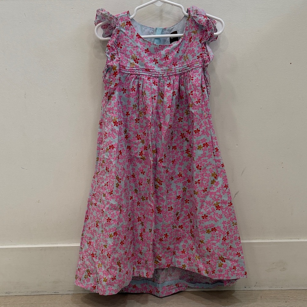 Tea Collection Pink and Blue Dress